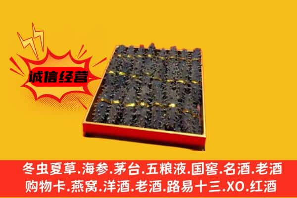 泉州金门县回收海参